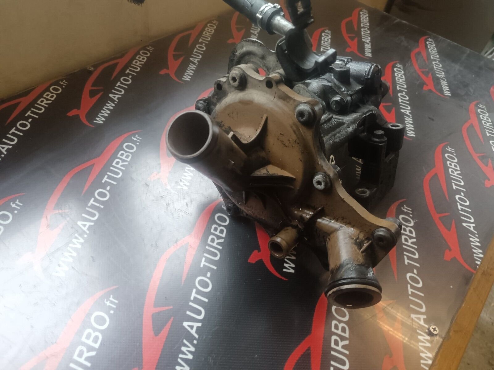 POMPE A EAU BOXER JUMPER DUCATO REFERENCE: 6C1Q8K50