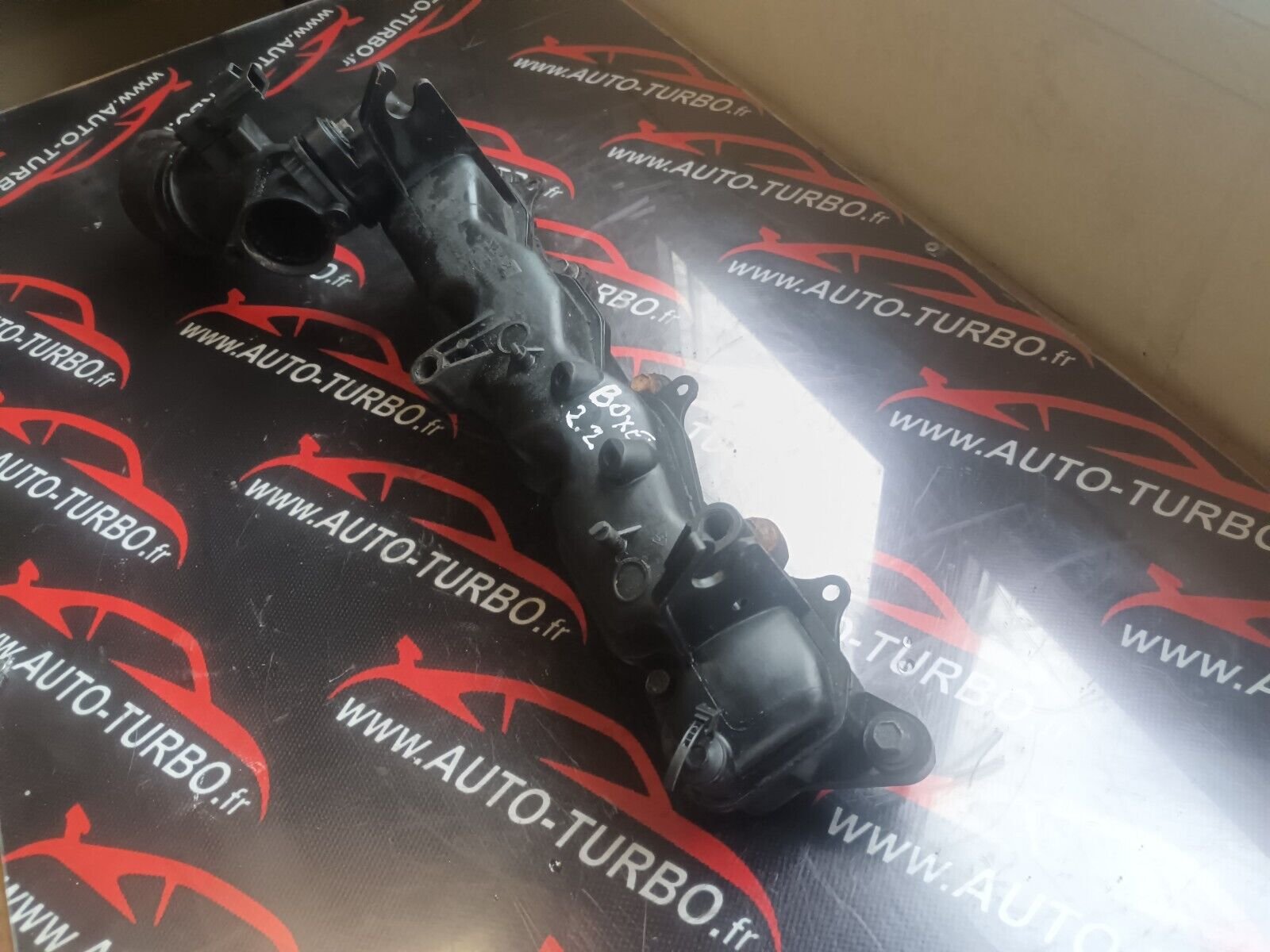 COLCTEUR ADMISSION BOXER JUMPER DUCATO REFERENCE: 2S709424